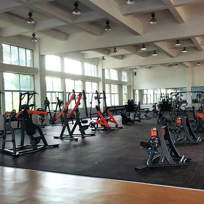 舒华挂片式综合力量训练器 SH-G6911 后蹬训练器(配套杠铃片)高清大图