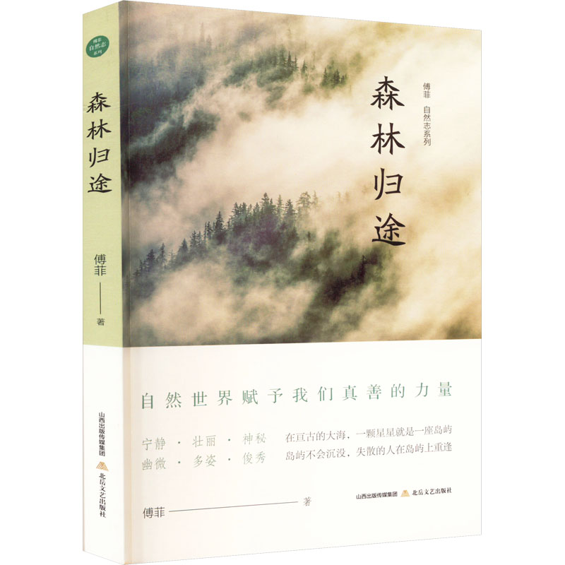 醉染图书森林归途9787537865739高清大图