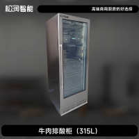 松润智能 牛肉排酸柜 GCT-D4402A 牛肉排酸柜（320L）