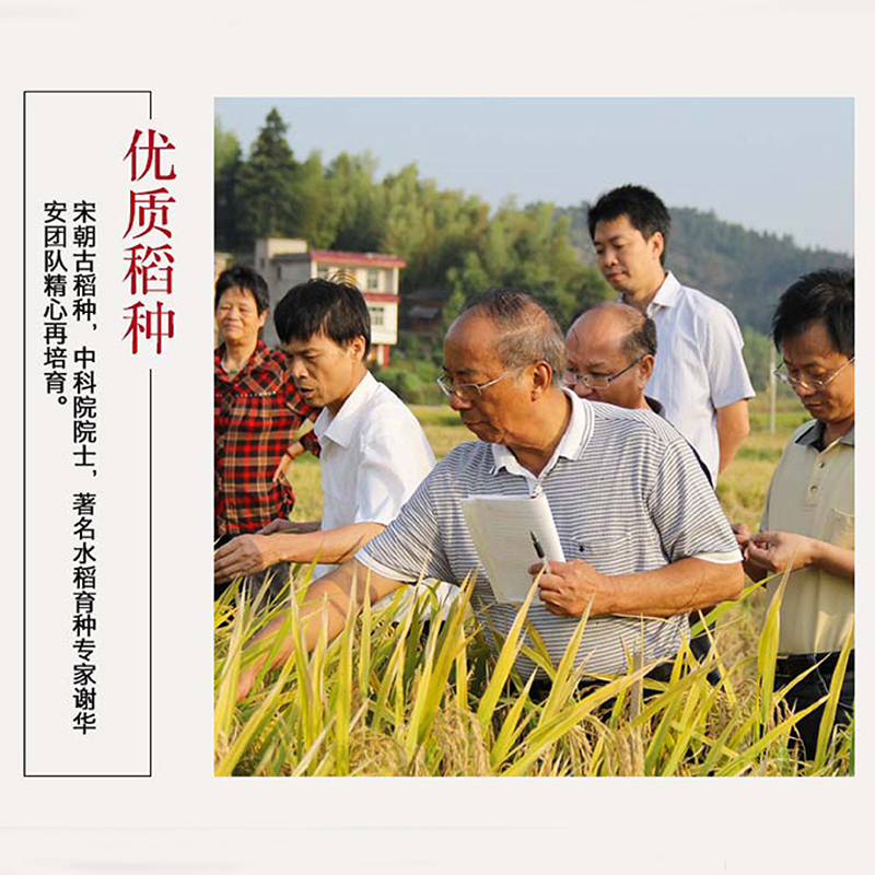 伊盆--河龙贡米 客家臻米1KG
