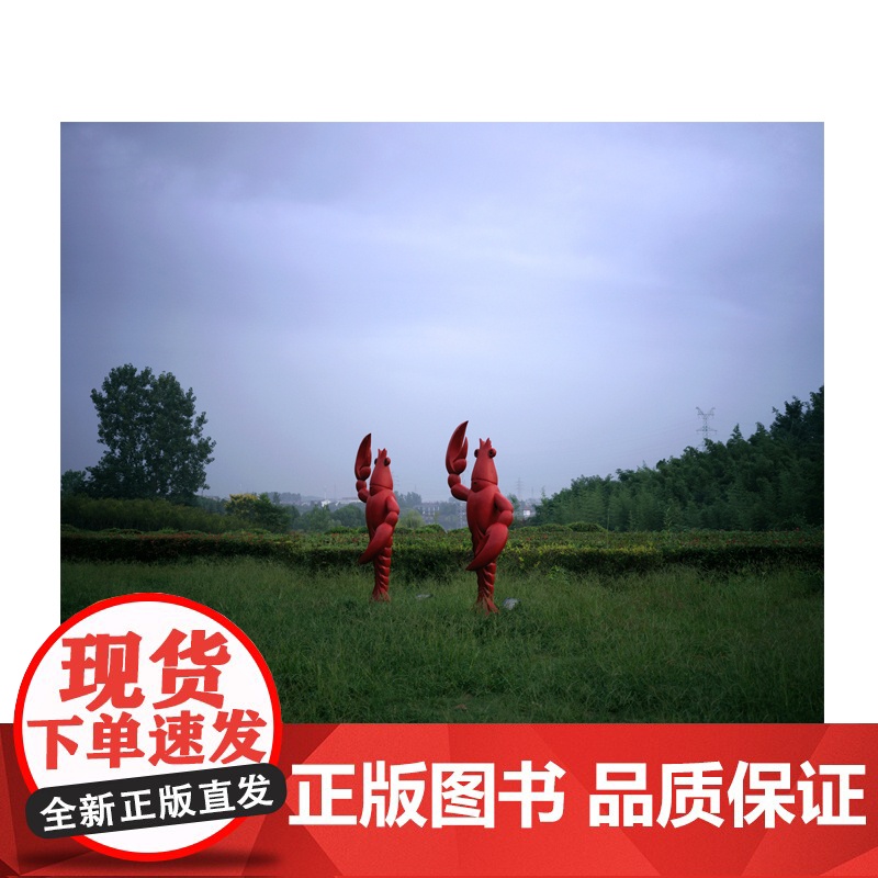 迷墙 北贝 严明/著 艺术 摄影集 彩色摄影 中国 现代 人文 严明 侯登科奖 广西师范大学出版社高清大图