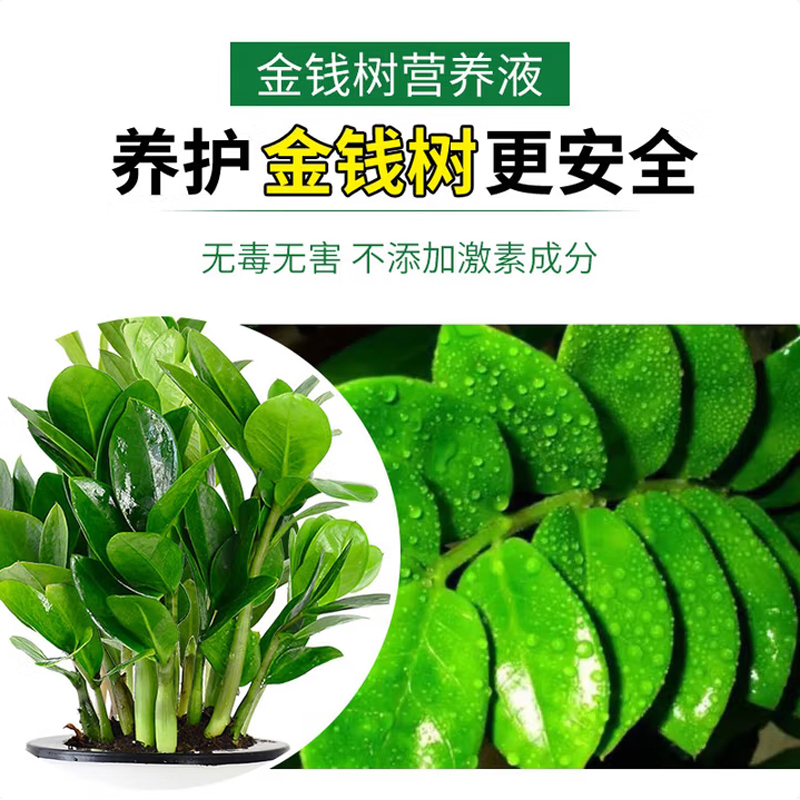 植物营养液 /德沃多/ 2.5L高清大图