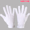 礼仪迎宾手套 涤纶款(5付装)