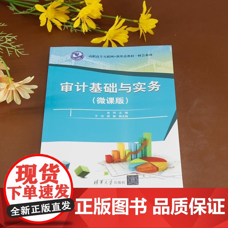 [正版新书]审计基础与实务(微课版) 金炜 于洁 邵敏 清华大学出版社 审计基础高清大图