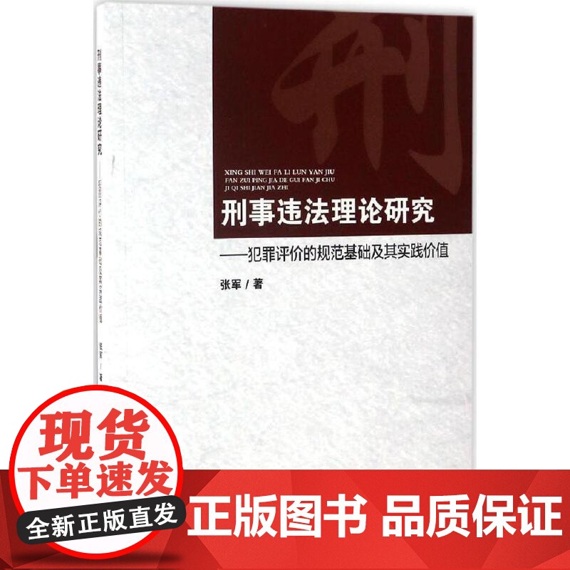 刑事违法理论研究高清大图