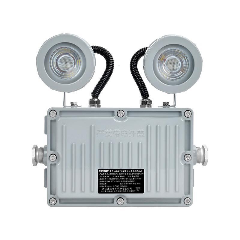 通明 TM-ZFJC-E3W-ZY5200带系统 2×1.5W IP66 DC36V 5000K白光 集中控制型消防应急照明灯具 (计价单位:盏) 灰色
