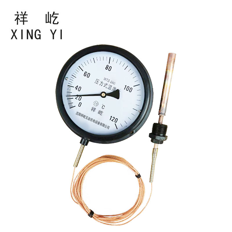 祥屹 压力式温度计定制检测款 WTZ280 120度 个高清大图