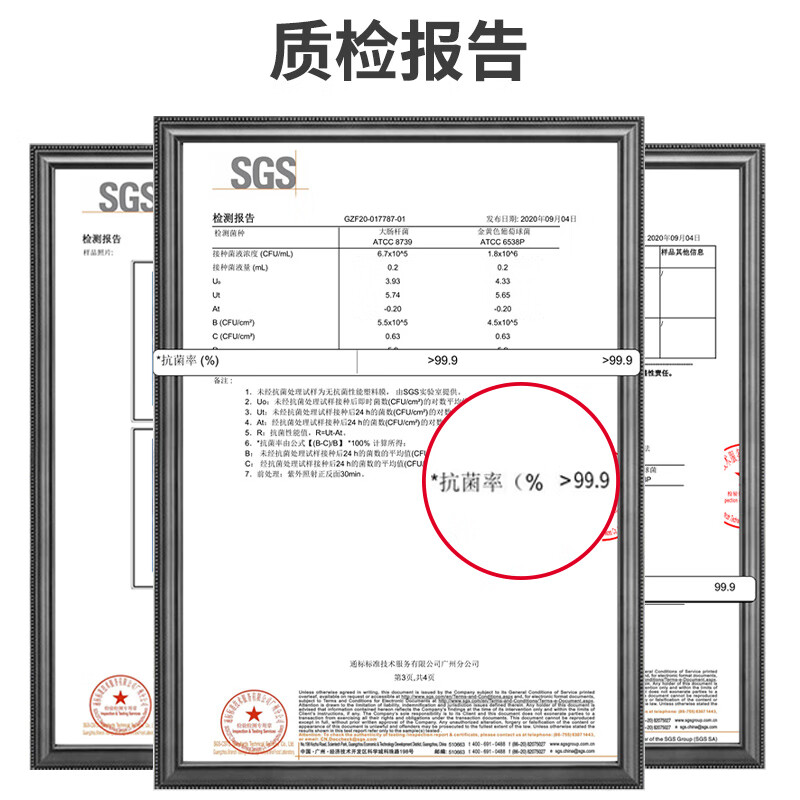 茶花(CHAHUA)冰箱保鲜盒出游野餐盒储物盒Ag+抗菌密封不漏水冷藏冷冻收纳盒 000018高清大图