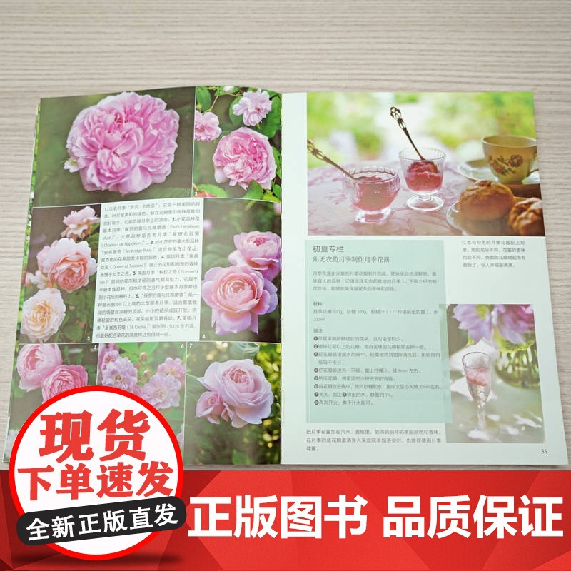 正版 365天花满庭院的园艺技巧 向阳处、背阴处、庭院小径、花坛 春夏秋冬四季 花园故事 9787111768364高清大图