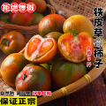 【西沛生鲜】丹东铁皮西红柿 净重3斤 精品 草莓柿子绿腚番茄自然熟生吃应季新鲜水果