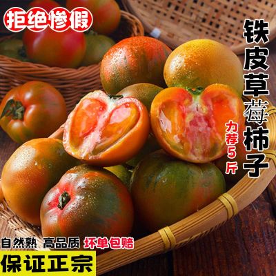 【西沛生鲜】丹东铁皮西红柿 净重3斤 精品 草莓柿子绿腚番茄自然熟生吃应季新鲜水果