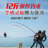 戴家猛犸投升级版碳素超硬远投竿锚竿鲢鳙青草抛竿可视锚鱼杆套装