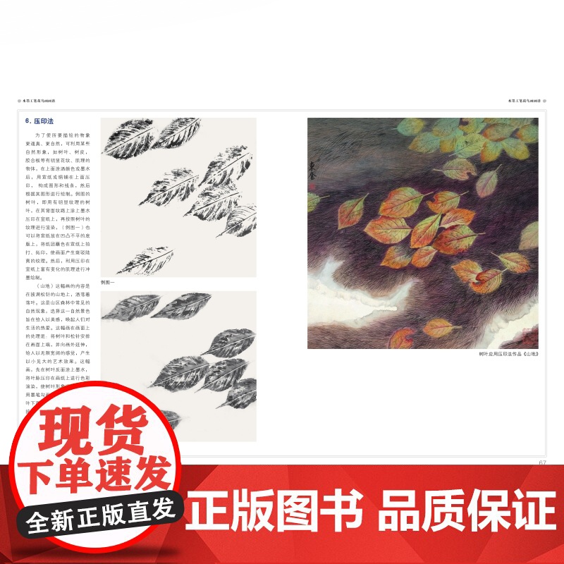 水墨工笔花鸟画画谱 上海人民美术出版社高清大图