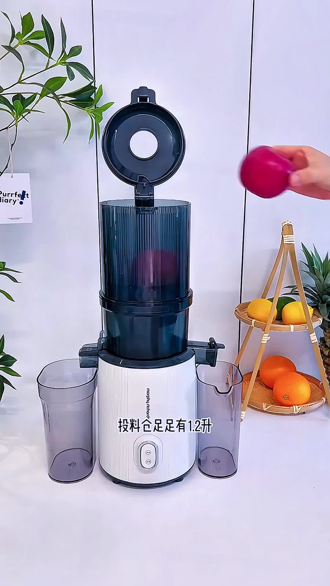 摩飞 原汁机 MR9902高清大图