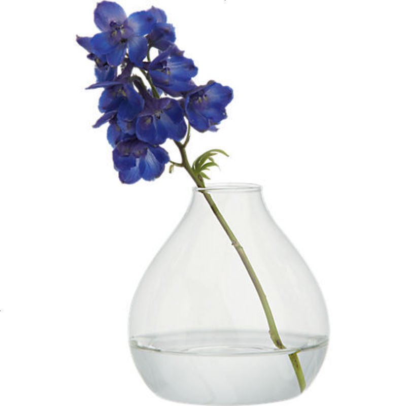 欧式简约玻璃花瓶 透明水培花器 桌面装饰装饰工艺品