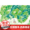 小樟树原创图画书 巴澎婆婆