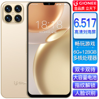 金立i13Pro全网通4G智能手机4GB+128GB晨曦金6.5英寸大屏人脸识别超大内存学生手机老人手机