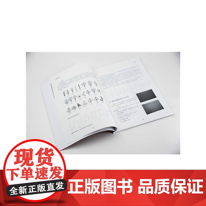 中国画白描花卉 凌杰 化学工业出版社 正版书籍高清大图