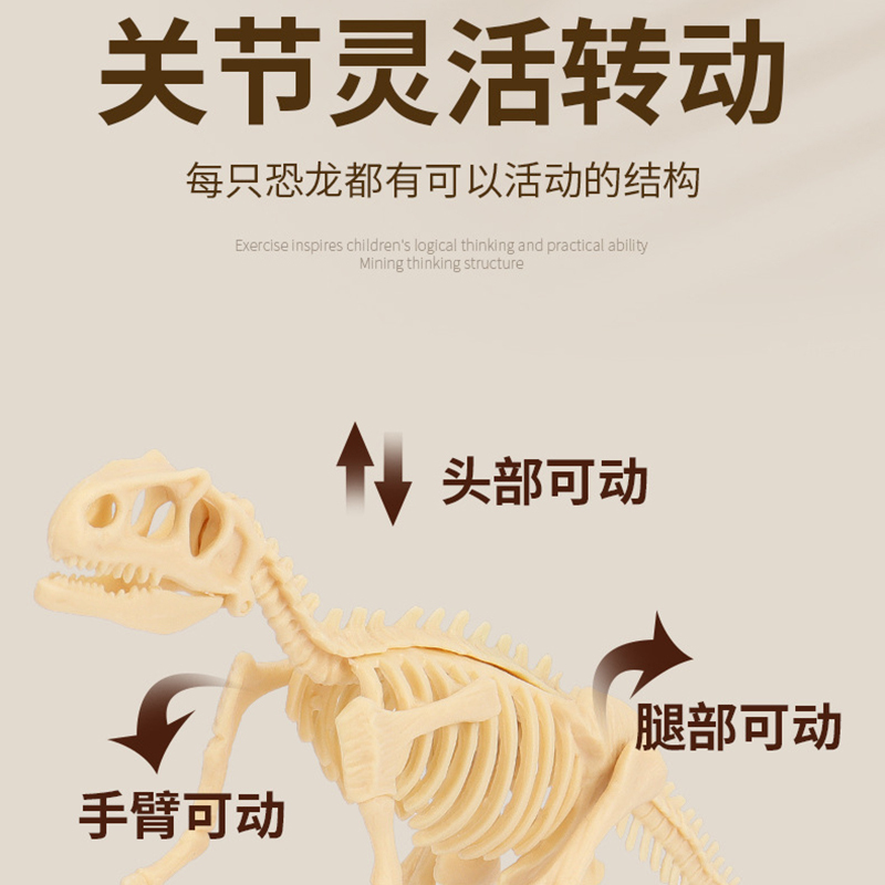 企业专享 金泊来 考古挖掘玩具套装 起订量50
