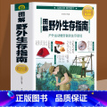 【正版】 图解野外生存指南 彩色图文版 户外生存知识 求生技能书籍 求生 荒野求生 户外旅行险情处理 求生之道 野外求