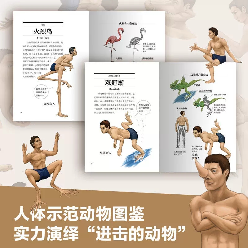 跟动物交换身体 [正版]跟动物交换身体本古生物研究者川崎悟司动物身体结构 生物进化奥秘小学生动漫科普书日本插画集怪奇漫画高清大图