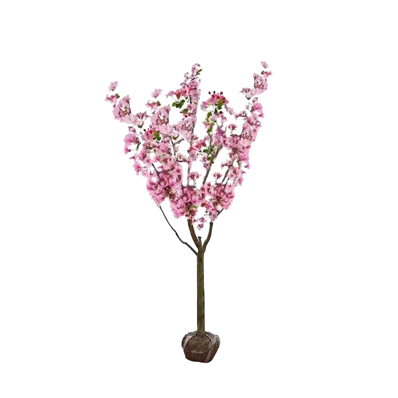 路轶森 海棠树 5公分 棵高清大图