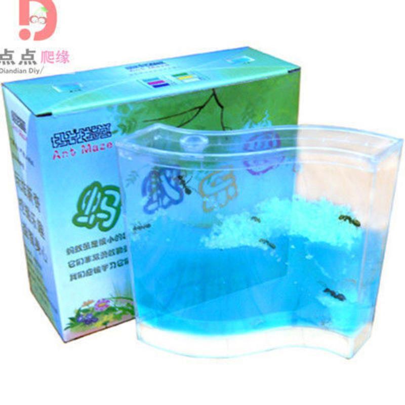 中号蚂蚁工坊(送10只蚂蚁) 生态蚂蚁工坊城堡养蚂蚁不死)蚁巢庄园别墅农场宠物蚂蚁生日礼物