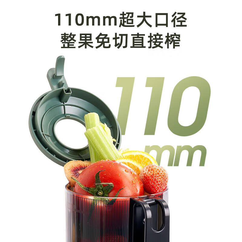 小熊(Bear)榨汁机 原汁机渣汁分离 多功能家用全自动冷压榨果汁橙汁压榨器果蔬机高清大图