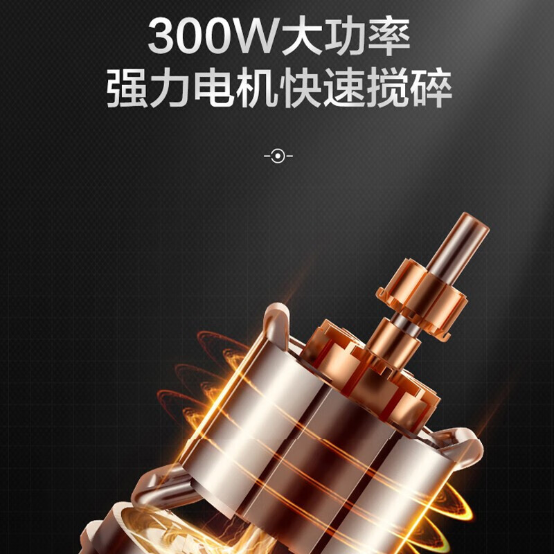 苏泊尔绞肉机JRT01-300高清大图