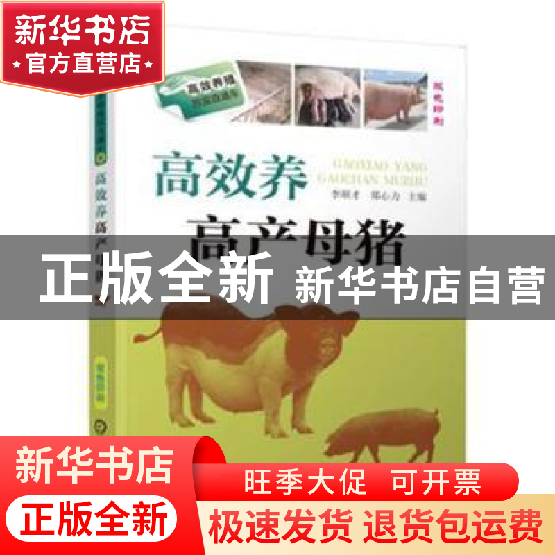 正版 高效养高产母猪 李顺才,郑心力 机械工业出版社 97871115035高清大图