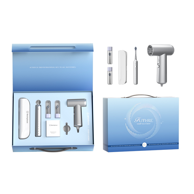 西屋(WESTINGHOUSE) 见新个人护理套装(电动牙刷WT-0505+吹风机HP10) Y-D257KS高清大图