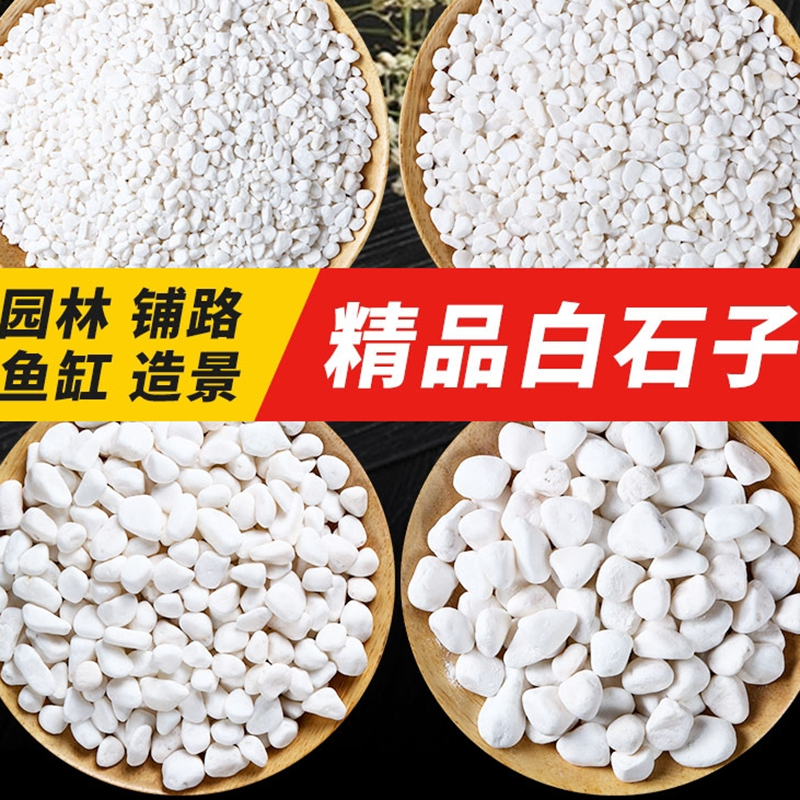 [补贴10%]天然雨花石小白石子多肉铺面盆栽花盆庭院造景装饰白色石头溪流高清大图