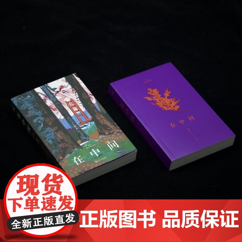 在中间 罗衣随笔集 中英双语随笔集收录绘画摄影作品Z世代艺术家关于自我生活女性世界艺术美思考正版图书籍高清大图