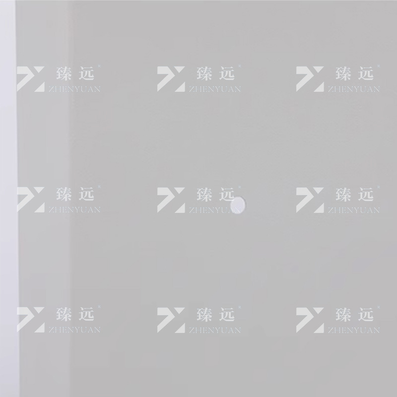 臻远 ZY-AQMJ-24 工地安全帽存放架头盔帽子收纳架 十二位壁挂式高清大图