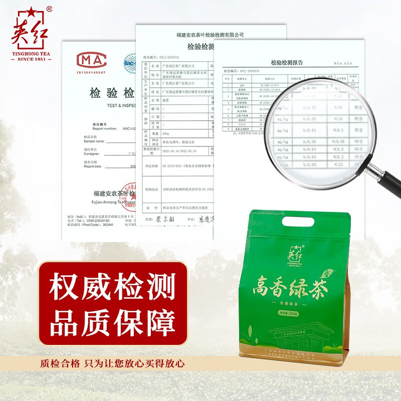 英德绿茶250g袋装高清大图