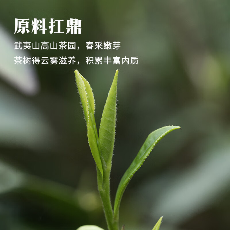 八马茶业鼎红1500·武夷红茶·金骏眉 168克高清大图