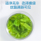 沈之问薄荷叶泡水新鲜薄荷茶干薄荷叶清凉花茶可搭冬季决明子罐装