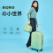 包时尚简约日系糖果色行李箱女学生万向轮登机款