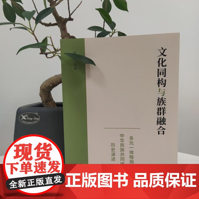 文化同构与族群融合:多元一体格局下中华民族共同体的历史演进 9787519913793 汇聚相关领域专家学者 历史学民高清大图