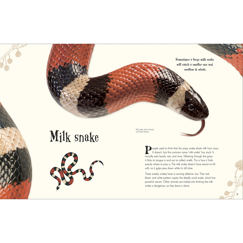 [正版]DK奇妙动物大百科 有趣动物集 英文原版 An Anthology of Intriguing Animals高清大图