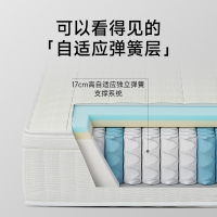 [CBD]SNZY-大小姐软硬可调节床垫24cm 软硬可调节舒适型自适应弹簧