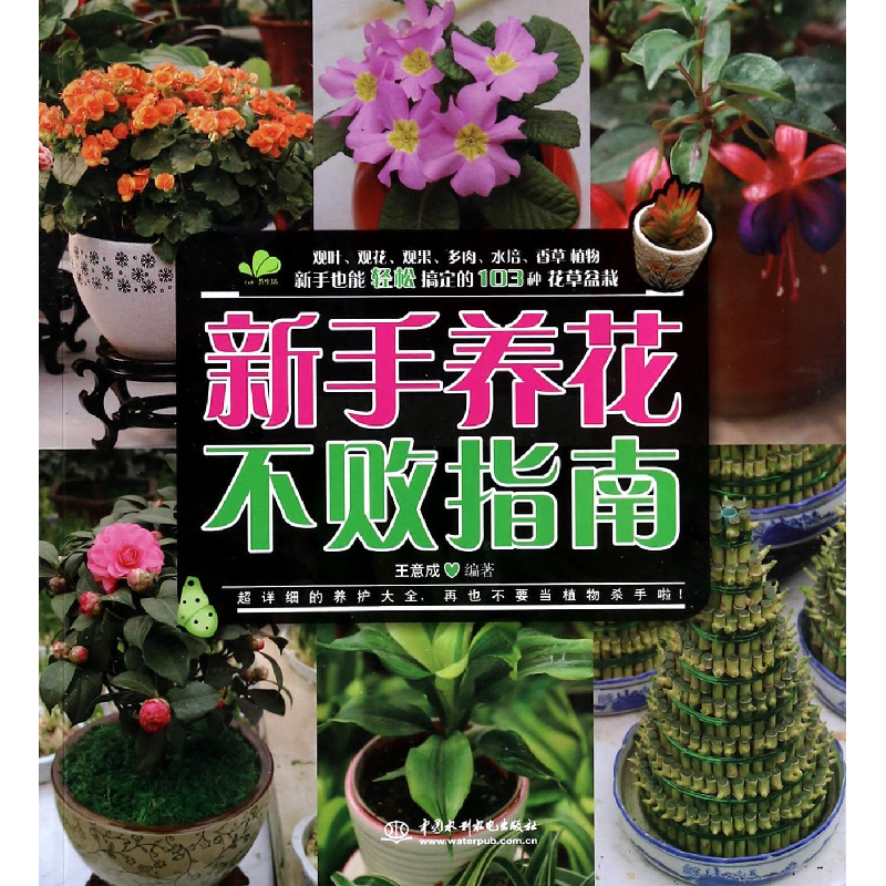 音像新手养花不败指南王意成