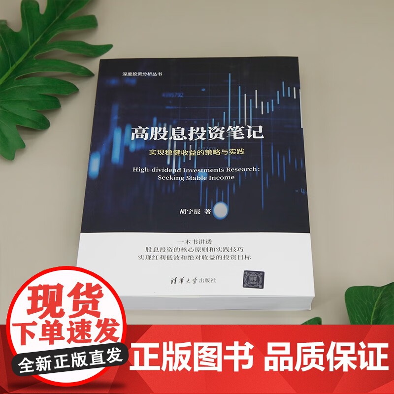 高股息投资笔记 实现稳健收益的策略与实践 胡宇辰 著 金融与投资高清大图