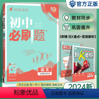 语文 九年级上 [正版]2024版 初中九上语文 人教版RJ 初三9年级上册语文同步训练练习册 理想树九年级上册语文中考