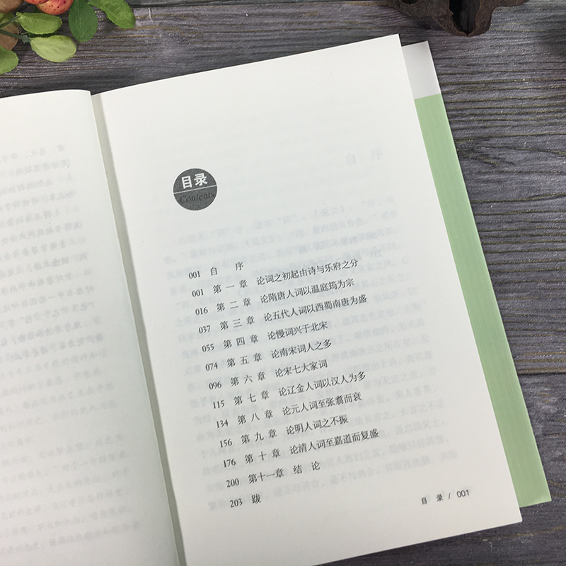 [醉染正版]词史 名家小史图文版 讲述隋唐南北宋元明清时期诗词的特点著名诗人诗词作品集赏析 中国古诗词古代文学古典小说高清大图