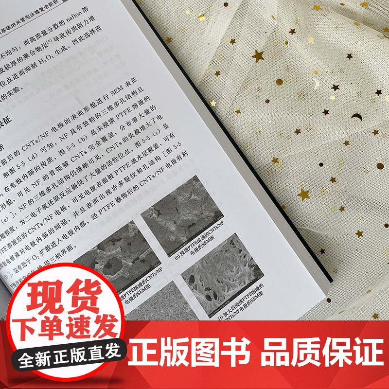 铁基非均相催化剂性能研究及应用 铁基非均相催化剂的制备 表征 性能研究 催化反应机理及应用 催化 水处理等领域科研人员应高清大图