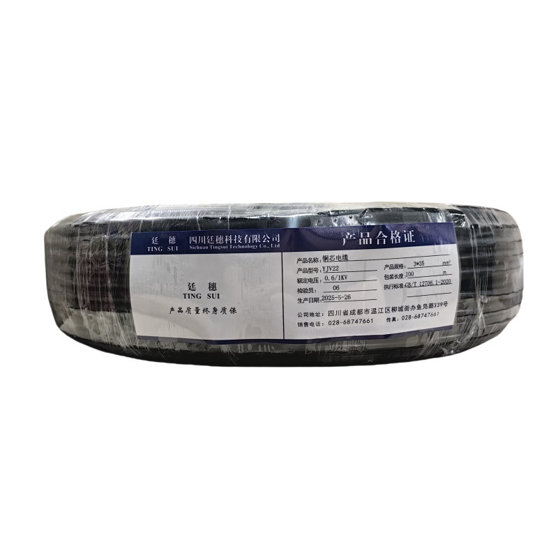 廷穗(TINGSUI)铜芯电缆YJV22-0.6/1KV-3*35 米