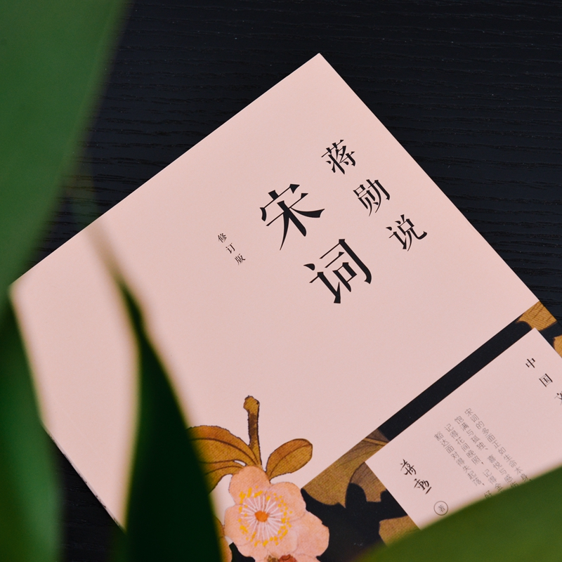 [正版]蒋勋说宋词 修订版 蒋勋 中国文学之美系列 现当代文学随笔书籍 中国古诗词 文学评论与鉴赏 书店图书籍 出版社