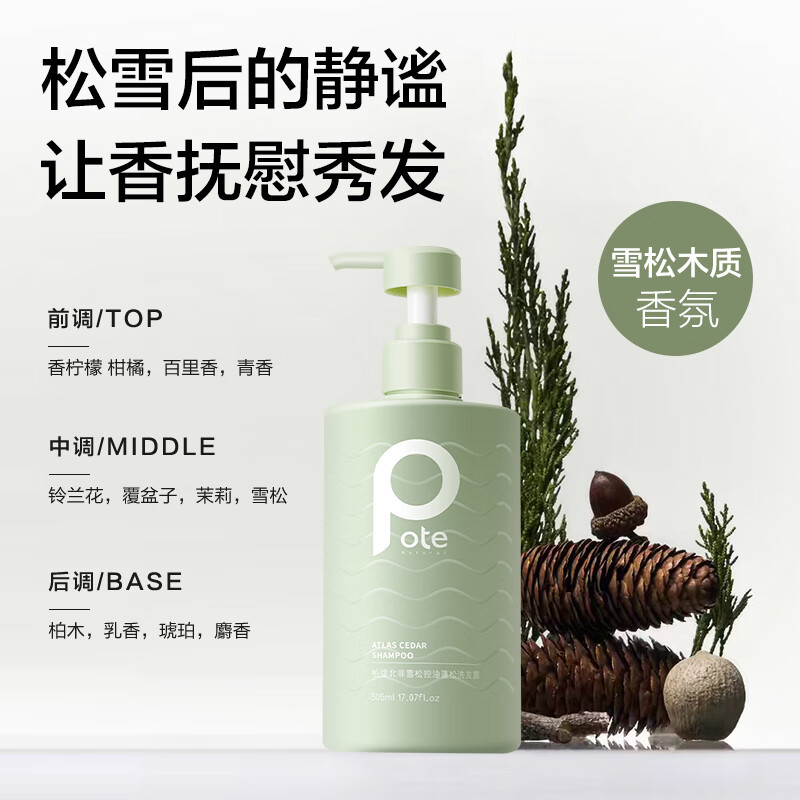 柏缇(POTE) 北非雪松控油蓬松洗发水 清爽去屑止痒留香氨基酸洗发露 505ml(单位:瓶)高清大图