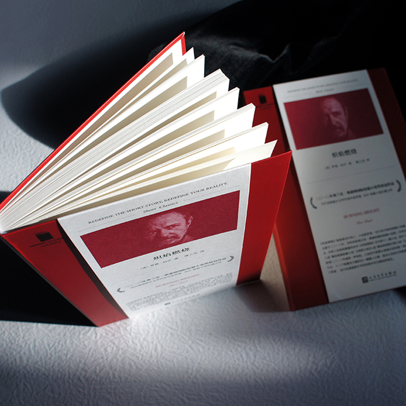 [正版] 炽焰燃烧 短经典精选 获弗兰克•奥康纳国际短篇小说奖 美国南方文学作家罗恩•拉什著 外国文学短篇小说集书高清大图